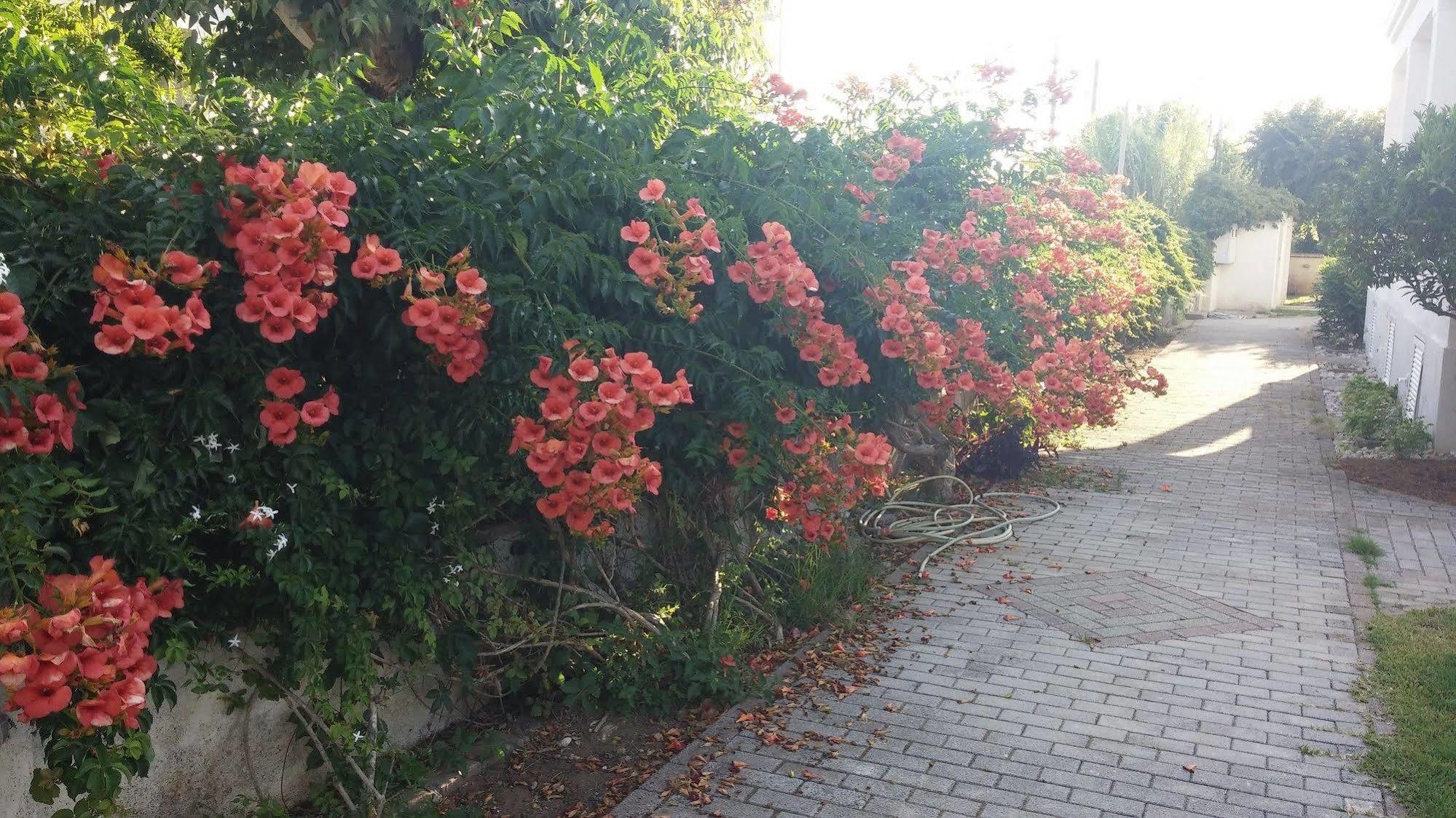 Corfu Anastasia Kontokali Esterno foto